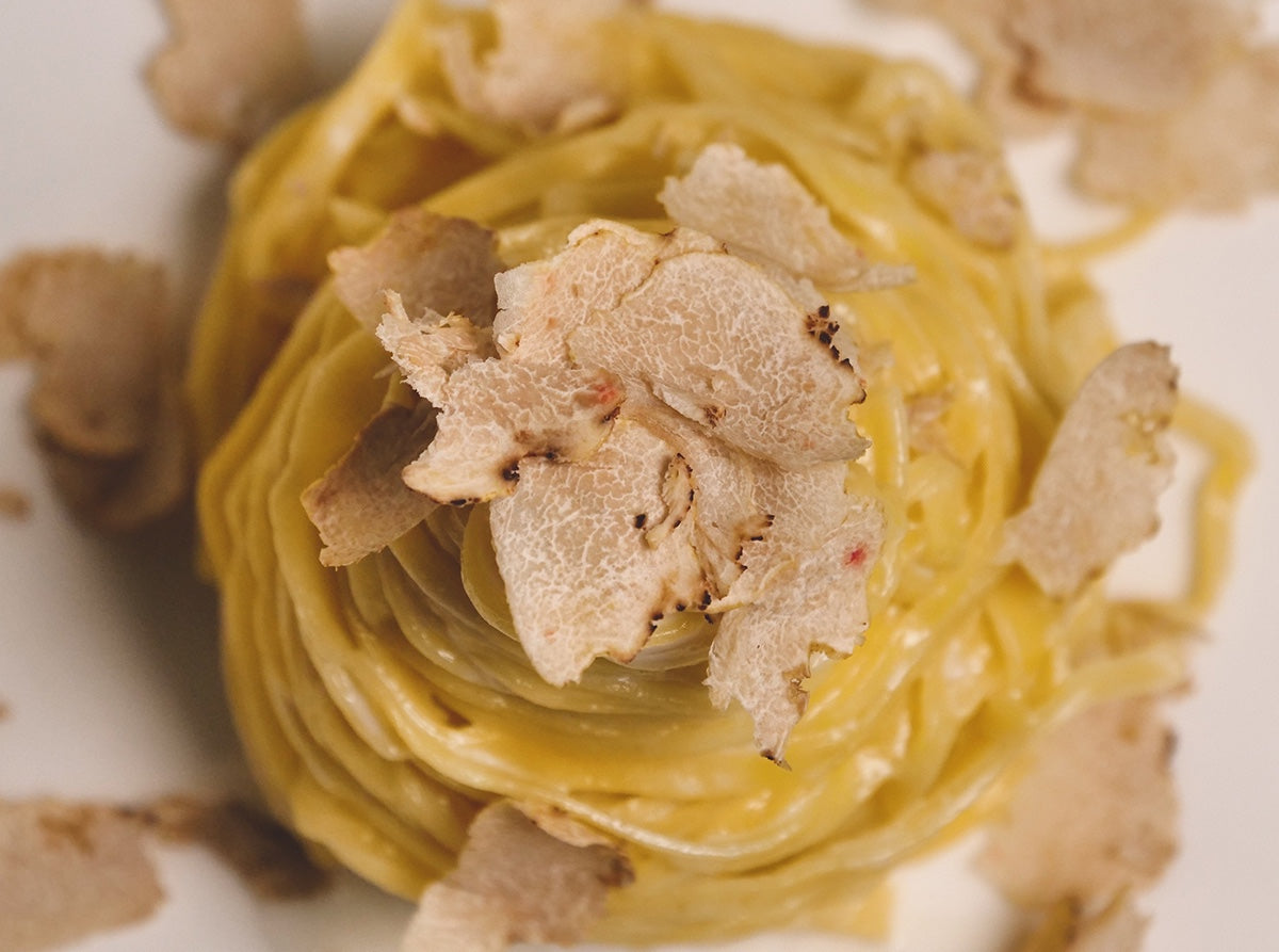 Fresh white truffle shavings over hand-cut egg tagliolini, the canonical Italian truffle pasta preparation