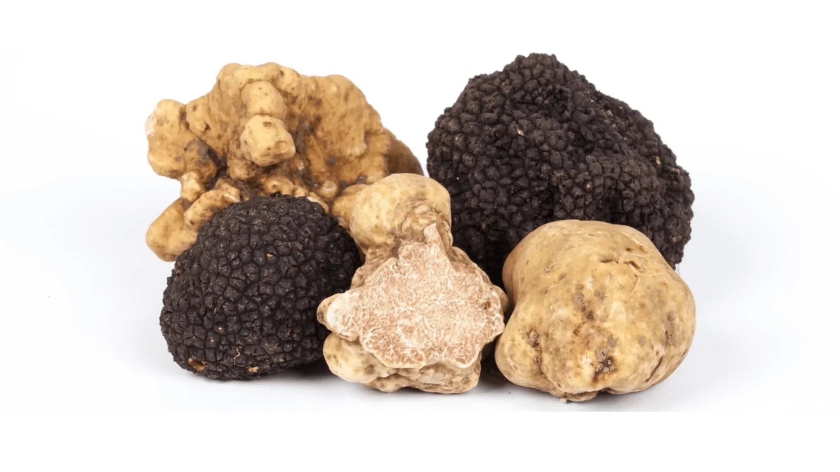 White truffle Tuber Magnatum Pico and black truffle Tuber Melanosporum side by side