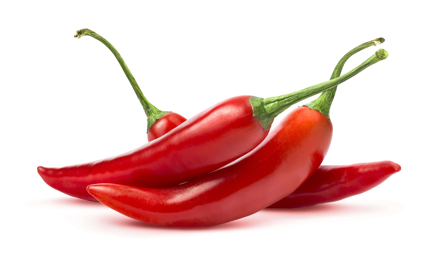 Fresh red Italian peperoncino chilies — the southern Italian peppers that flavor authentic Calabrian salami and inspired the American "pepperoni" name