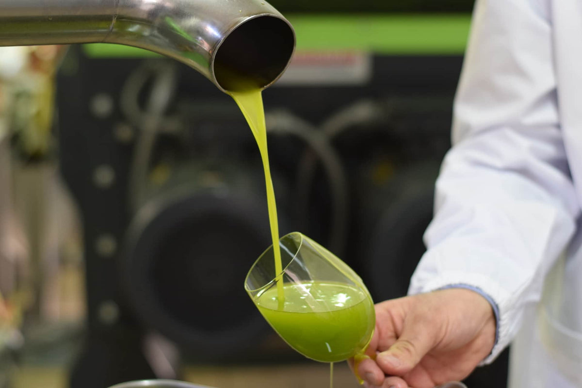 Freshly extracted extra virgin olive oil pouring from a mechanical stainless steel spout during the milling process in Italy.