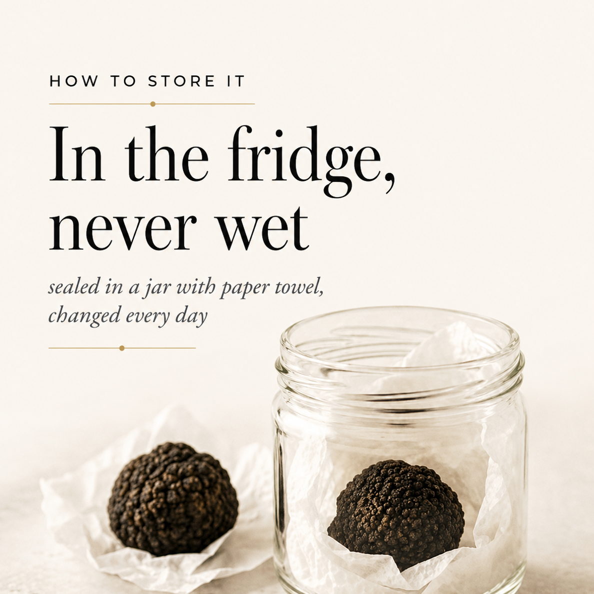 Fresh black truffles stored in a glass jar with dry paper towel in the refrigerator