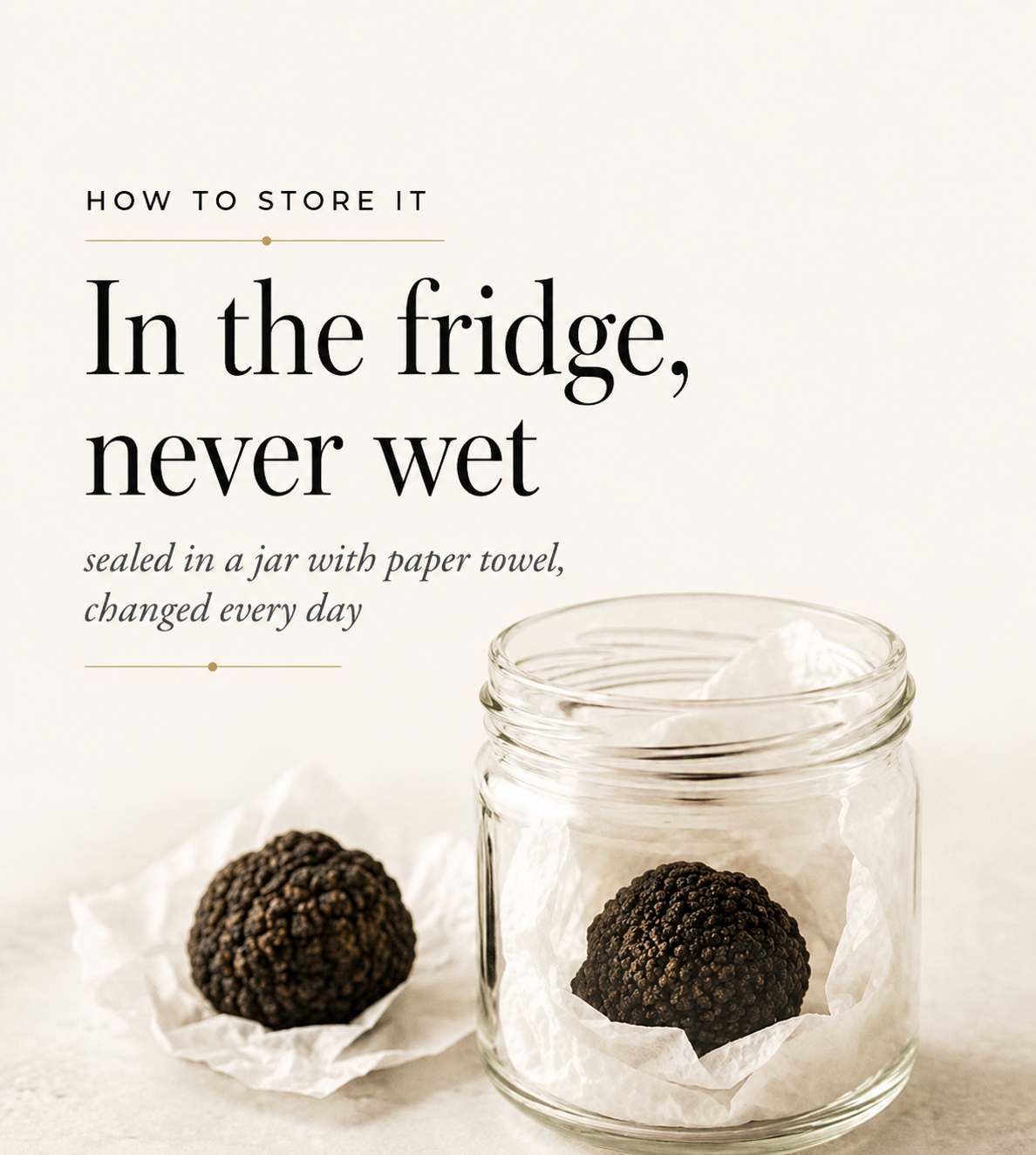 Fresh black truffles stored in a glass jar with dry paper towel in the refrigerator
