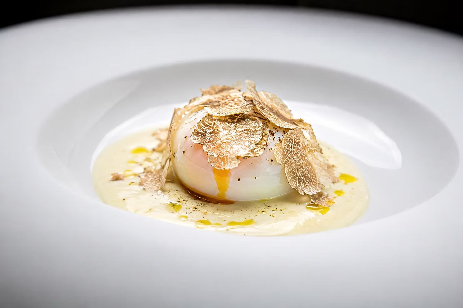 Poached egg on velvet cream topped with shaved bianchetto truffle Tuber borchii