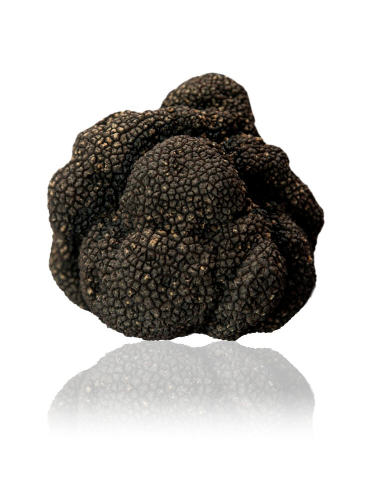 Fresh Summer Truffle (Tuber Aestivum) Italian black truffle