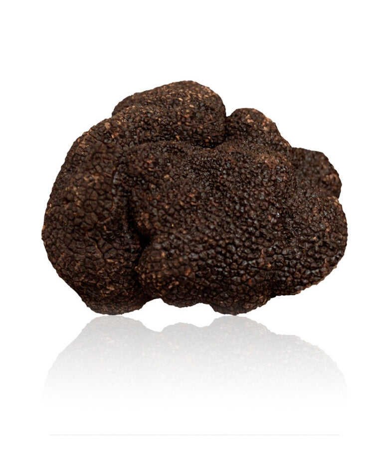 Fresh Black Truffle Tuber Melanosporum Italian truffle — Milan Truffle