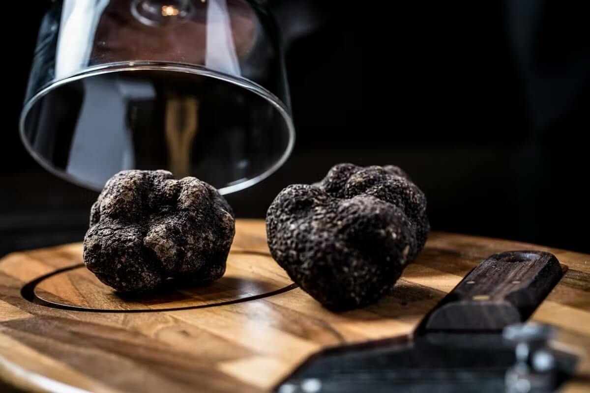 White truffles in a blue checked cloth