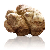 Fresh White Truffle (Tuber Magnatum Pico) Alba Italian truffle