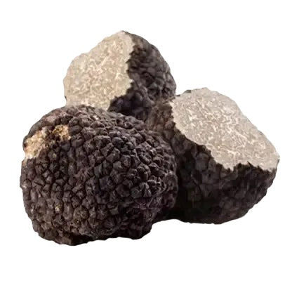 Three black truffles autumn on a white background