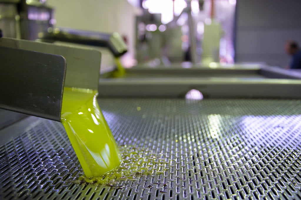 Fresh cloudy olive oil flowing from mill equipment after mechanical extraction
